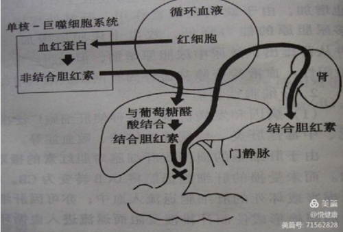 微信图片_202111180842276.png