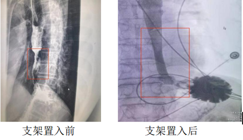 微信图片_20220609161249.png